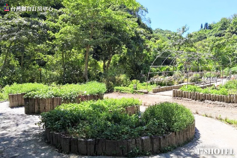 10532607.jpg (800×533)