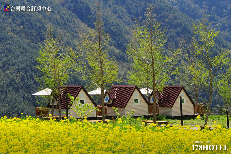 109641579.jpg (800×533)