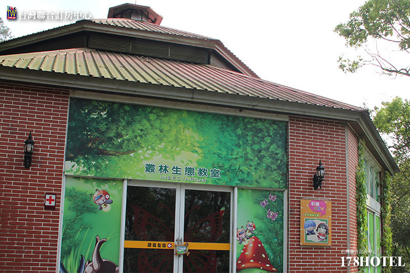 112255965.jpg (800×533)