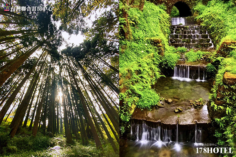 121749972.jpg (800×533)