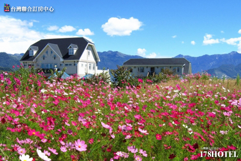 127547061.jpg (800×533)