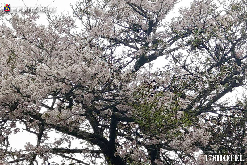 134028186.jpg (800×533)