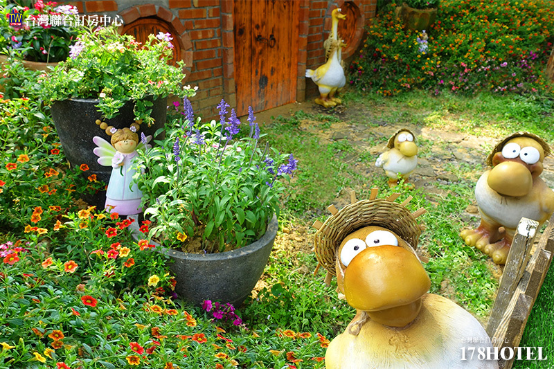 137012453.jpg (800×533)