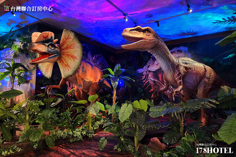 138032918.jpg (800×533)