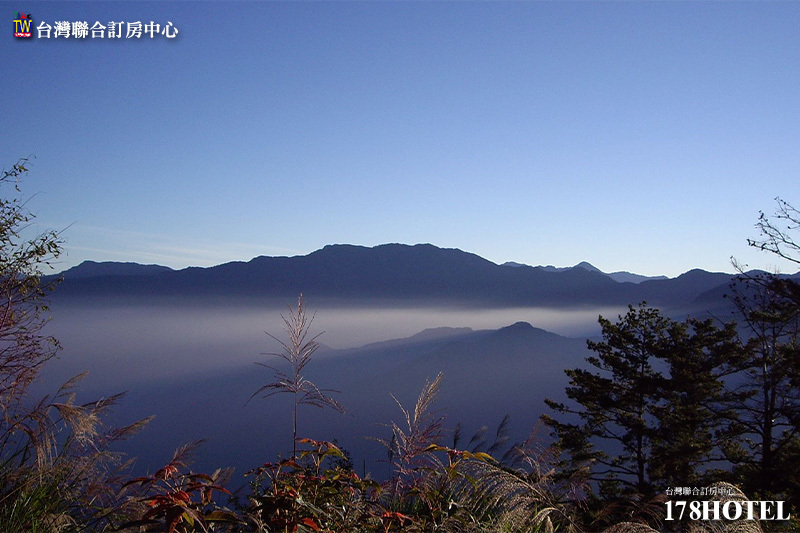 141227068.jpg (800×533)