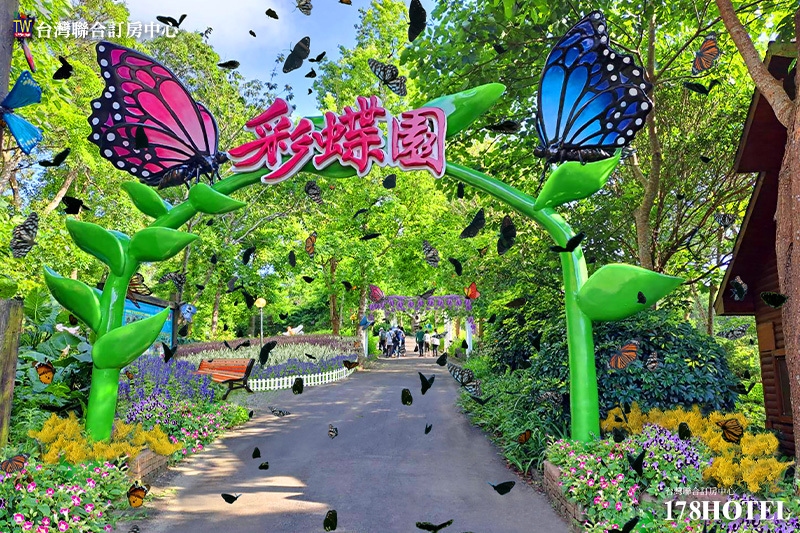 141931057.jpg (800×533)