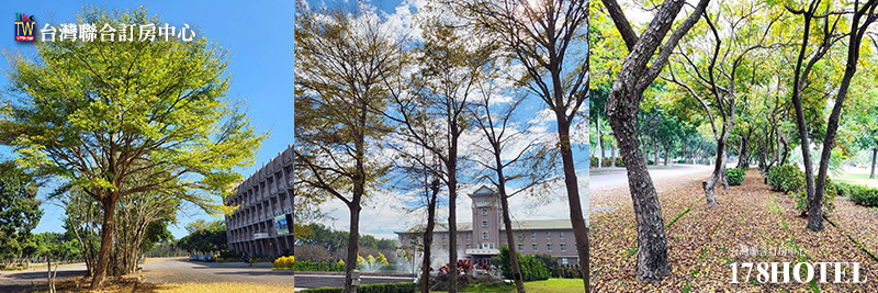 143735682.jpg (800×267)