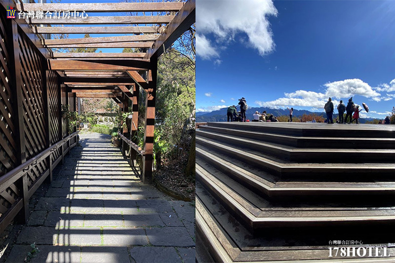 160292007.jpg (800×533)