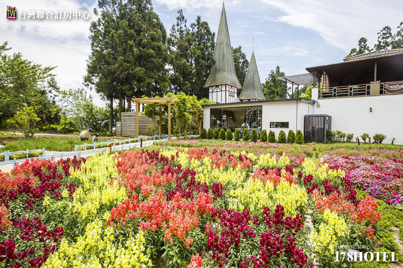 160297468.jpg (800×533)