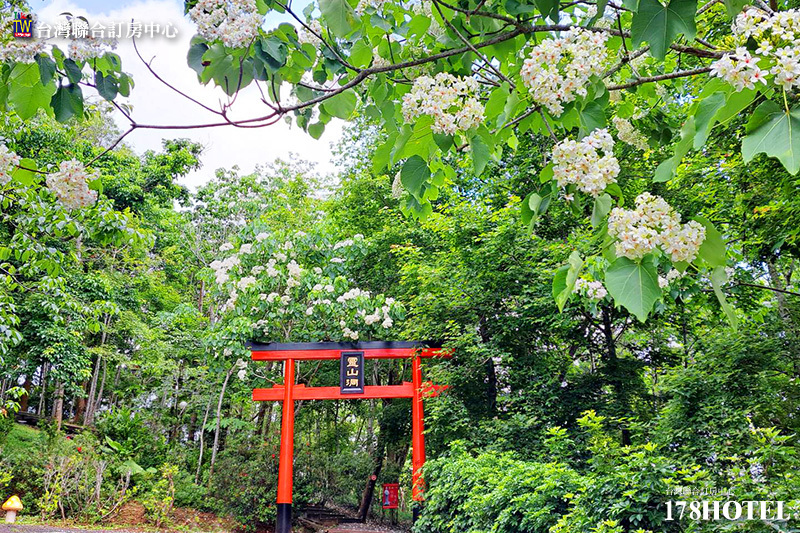 166172032.jpg (800×533)