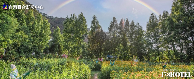 184411208.jpg (800×328)