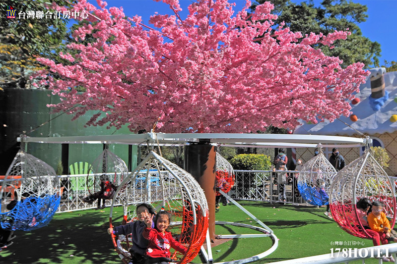 190643398.jpg (800×533)