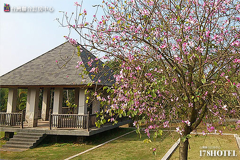 191621428.jpg (800×533)