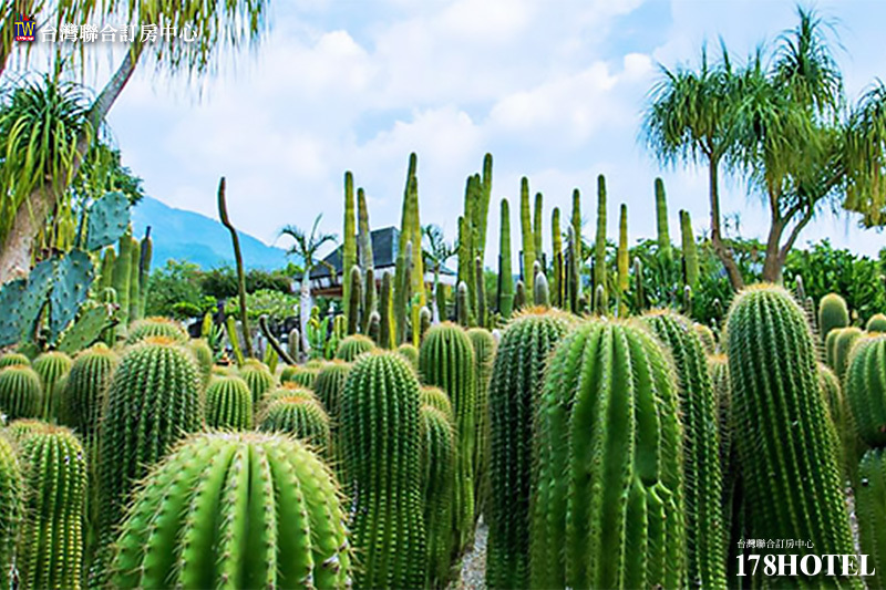 196029373.jpg (800×533)