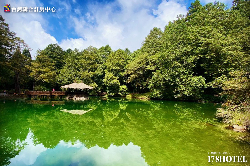 198637851.jpg (800×533)