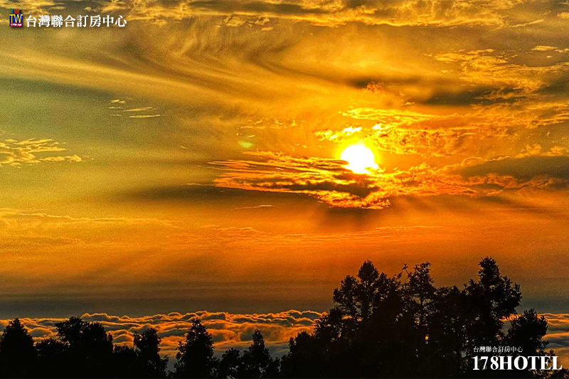 204706125.jpg (800×533)