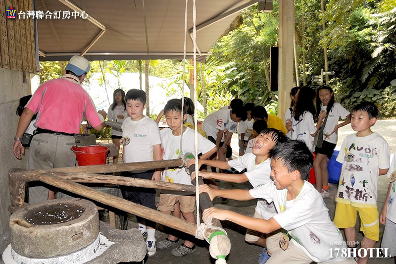 208440906.jpg (800×533)