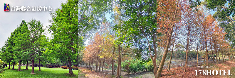 266193637.jpg (800×267)