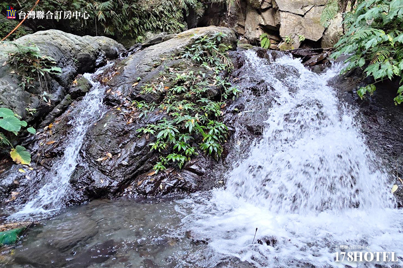 361938053.jpg (800×533)