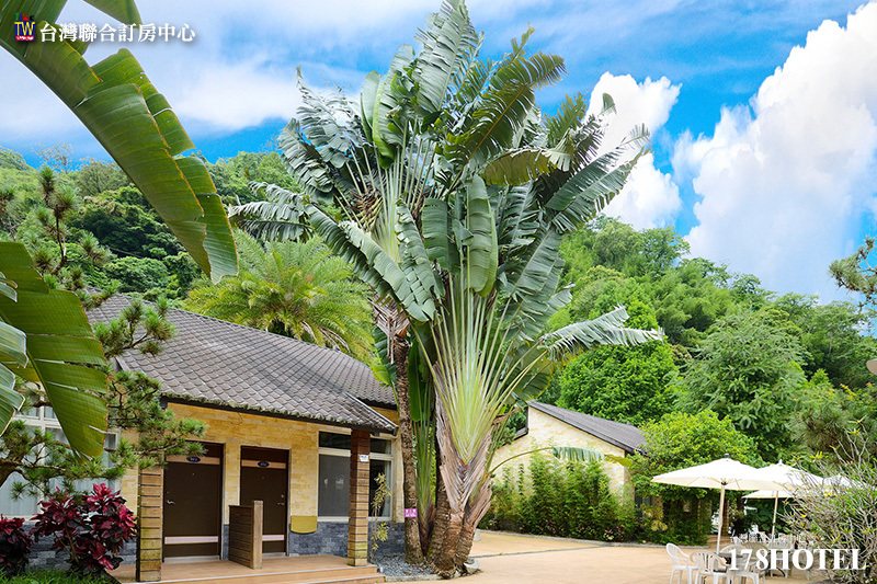 505815507.jpg (800×533)