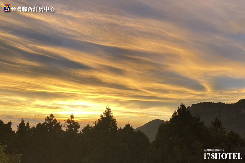 705178910.jpg (800×533)