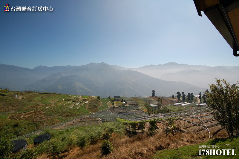 731336663.jpg (800×533)