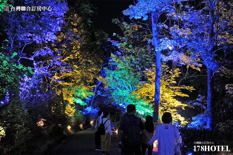 797008776.jpg (800×533)