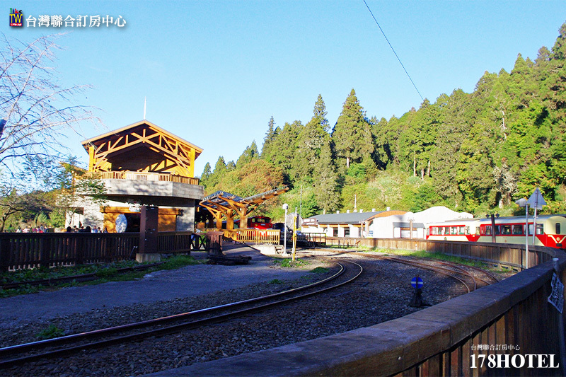 829205502.jpg (800×533)