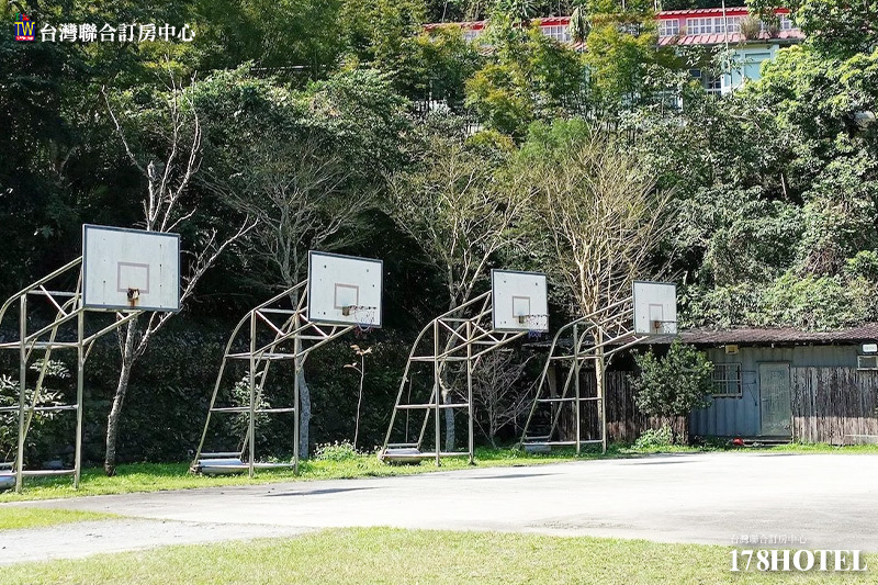 906768338.jpg (800×533)