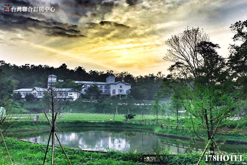 977201791.jpg (800×533)