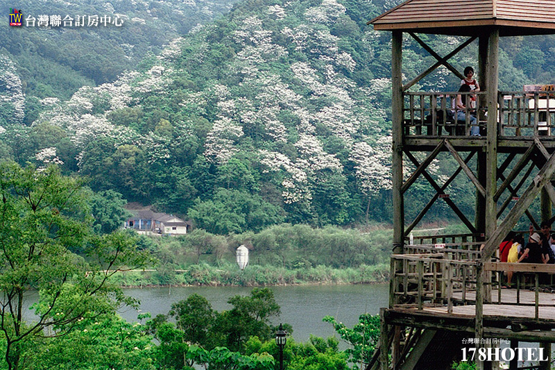 999522450.jpg (800×533)