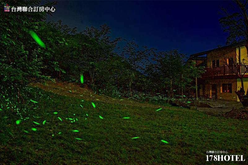 facil-01.jpg (800×533)