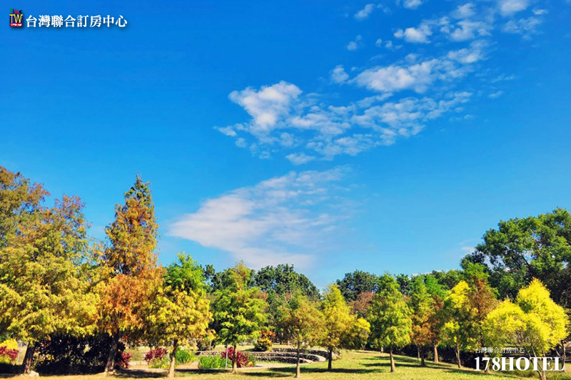 index_5.jpg (800×533)